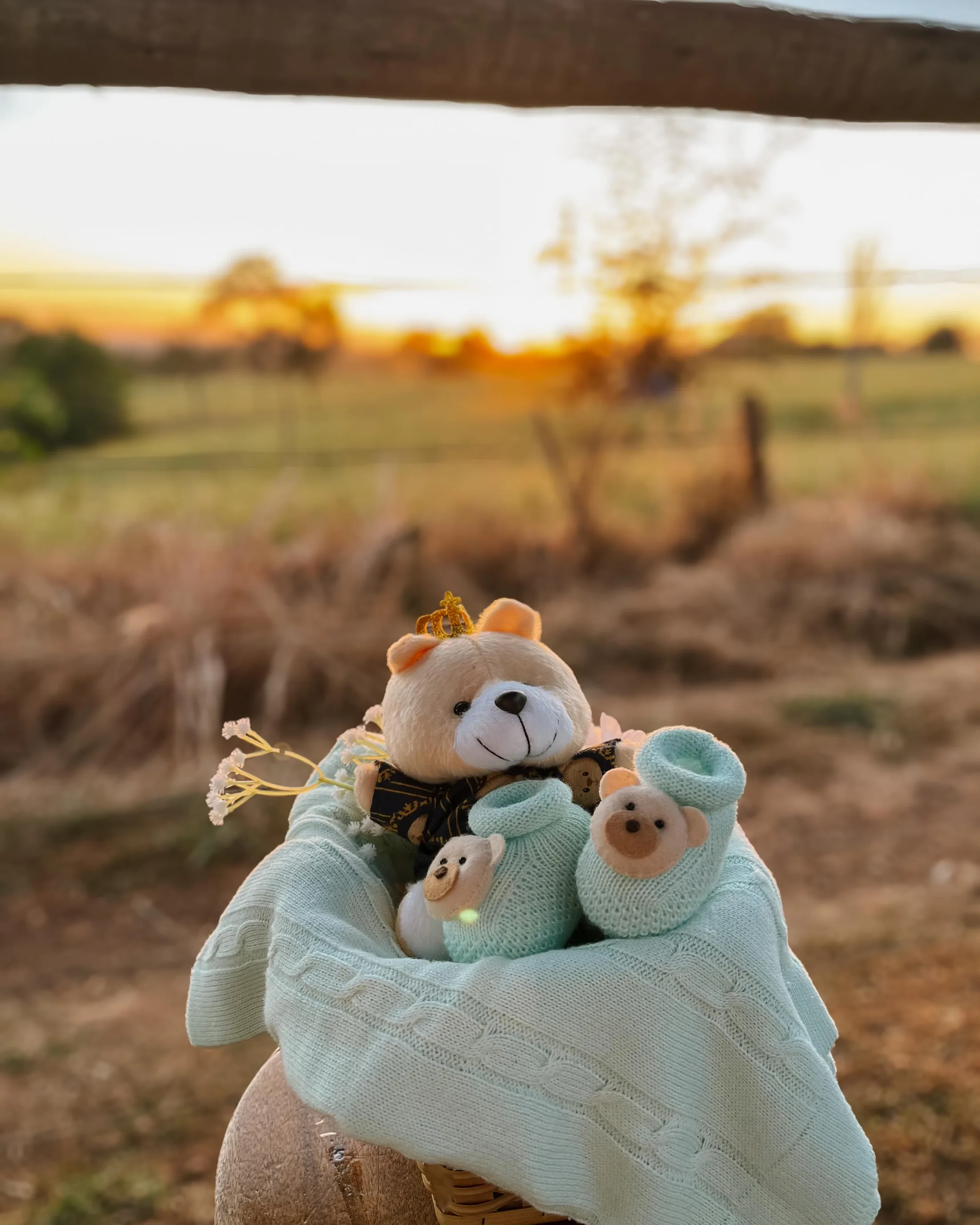 Ursos de pelúcia e pequenas roupas em um cesto diante de um campo ao entardecer.