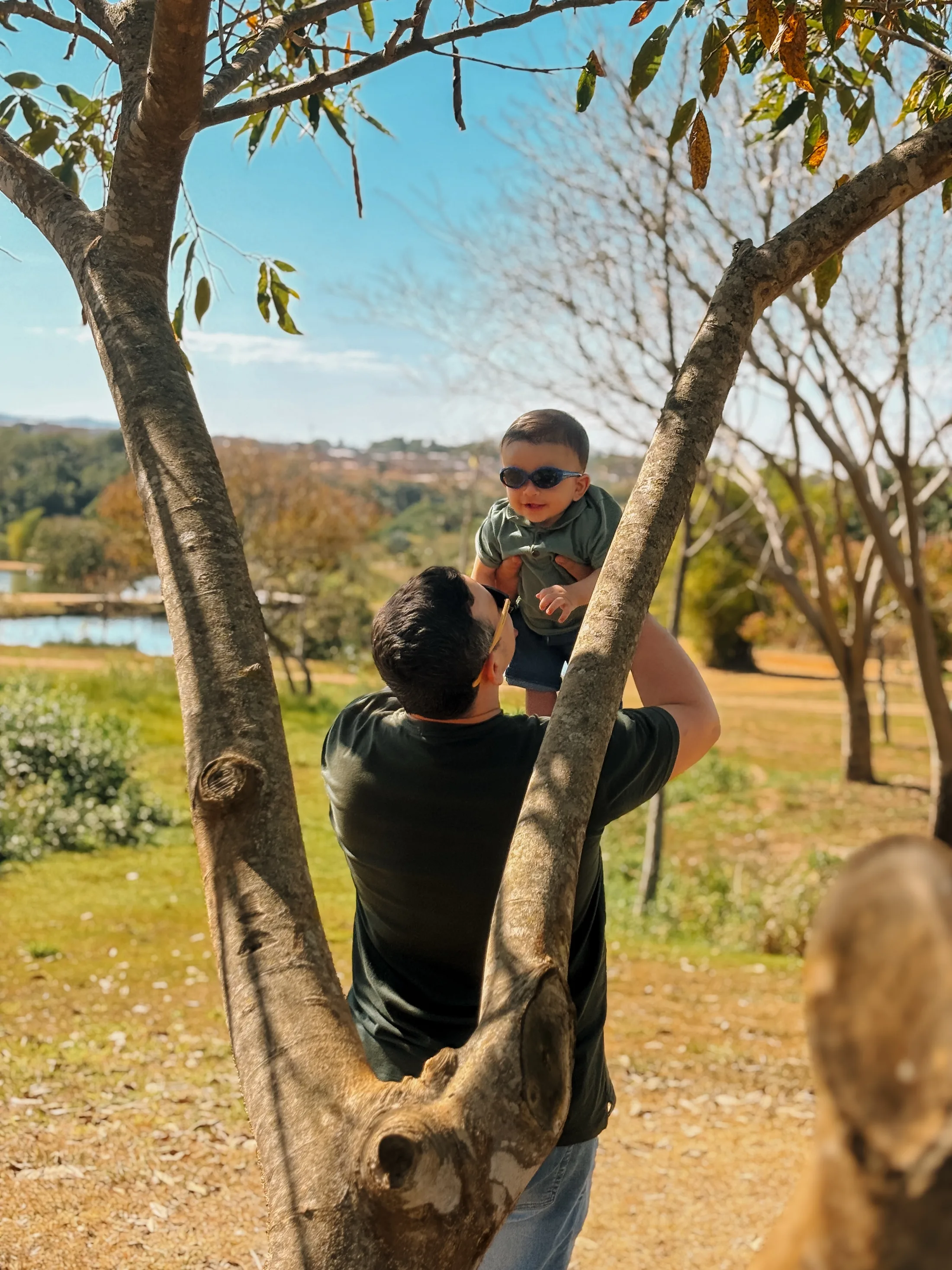 Homem segura uma criança entre os troncos de uma árvore em uma área verde.